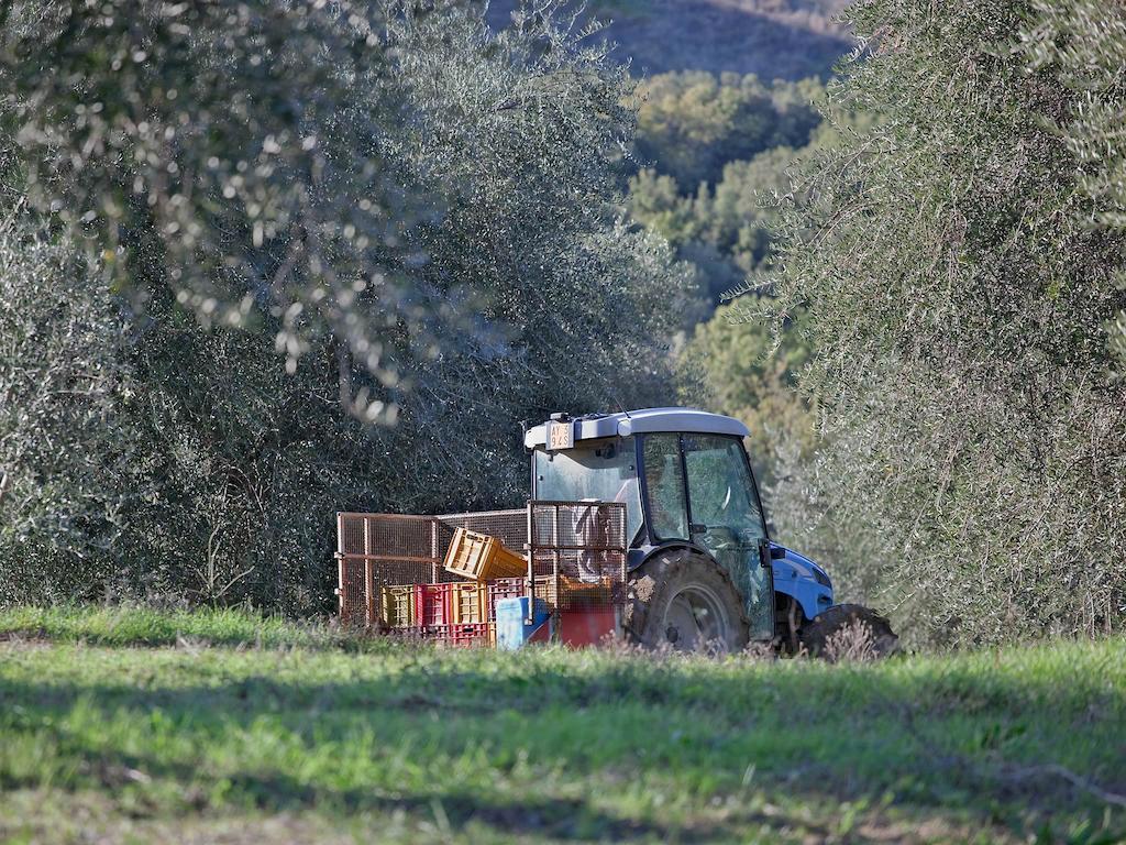 Tenuta La Silva Seggiano Exterior photo